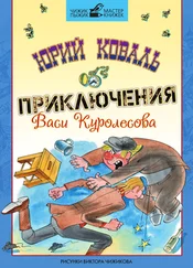 Юрий Коваль - Приключения Васи Куролесова (с иллюстрациями)