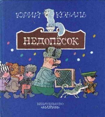 Юрий Коваль Недопёсок (с иллюстрациями) обложка книги