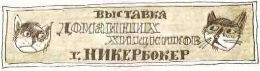 ВЫСТАВКА ДОМАШНИХ ЖИВОТНЫХ г Никкербокер По персидским коврам по - фото 84