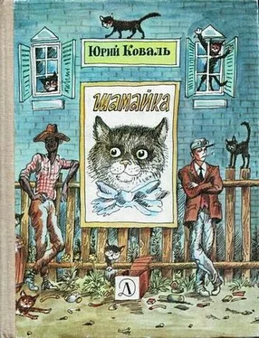 Юрий Коваль Шамайка (с иллюстрациями) обложка книги