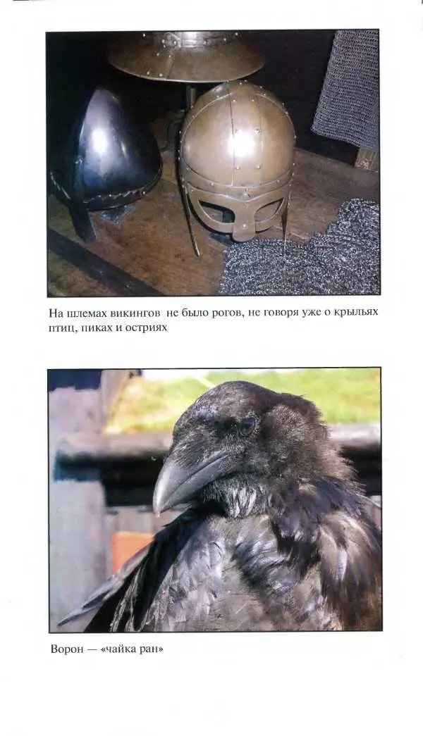 Средневековая Исландия - фото 82