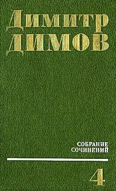 Димитр Димов Передышка в Арко Ирис обложка книги