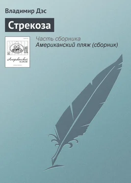 Владимир Дэс Стрекоза обложка книги