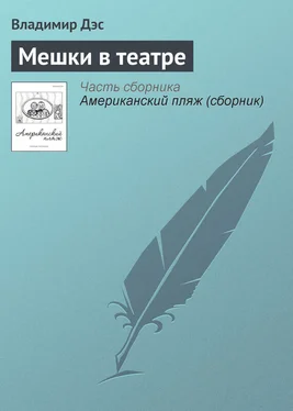 Владимир Дэс Мешки в театре обложка книги