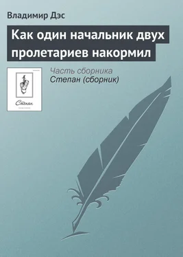 Владимир Дэс Как один начальник двух пролетариев накормил обложка книги