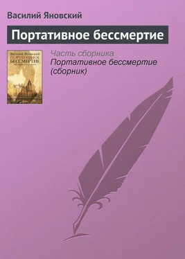 Василий Яновский Портативное бессмертие обложка книги