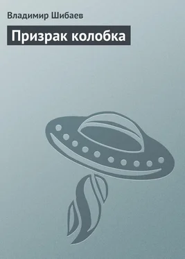 Владимир Шибаев Призрак колобка обложка книги