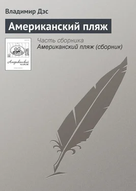 Владимир Дэс Американский пляж обложка книги