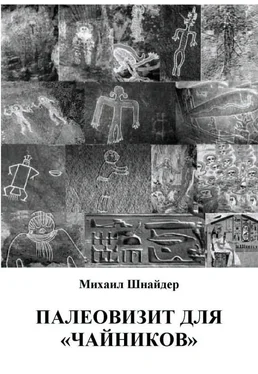 Михаил Шнайдер Палеовизит для «чайников» обложка книги