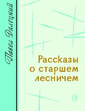 Павел Далецкий Рассказы о старшем лесничем обложка книги