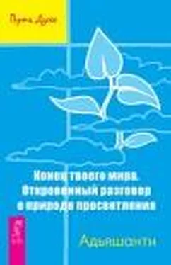 АДЬЯШАНТИ Конец твоего мира. Откровенный разговор о природе просветления обложка книги