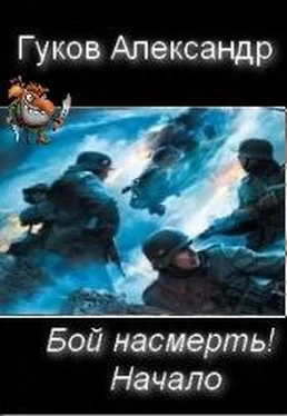 Александр Гуков Бой насмерть! Начало. обложка книги