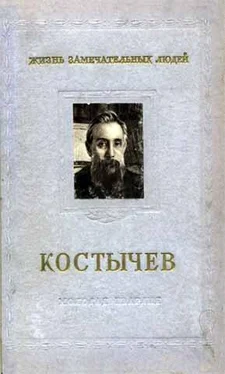 Игорь Крупеников Костычев обложка книги