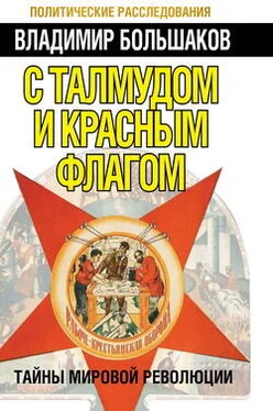Владимир Большаков С талмудом и красным флагом. Тайны мировой революции обложка книги
