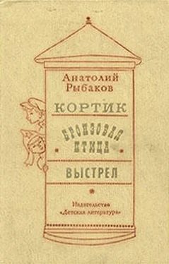 Анатолий Рыбаков Выстрел обложка книги