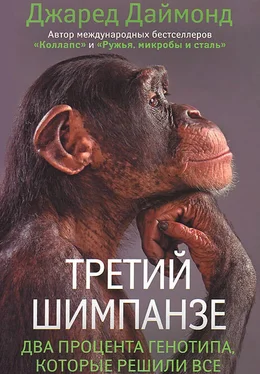 Джаред Даймонд Третий шимпанзе обложка книги