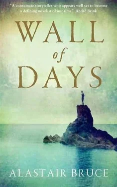 Alastair Bruce Wall of Days обложка книги