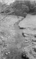 Много воды утекло в ручье Спотт с тех пор как Джон де Уоррен разгромил здесь - фото 9