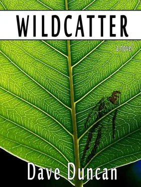 Dave Duncan Wildcatter обложка книги