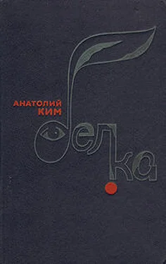 Анатолий Ким Белка обложка книги