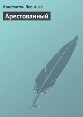 Константин Леонтьев Арестованный обложка книги