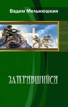 Вадим Мельнюшкин Затерявшийся обложка книги