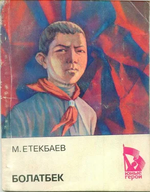 Мухаметжан Етеибаев Болатбек обложка книги