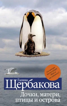 Галина Щербакова Дочки, матери, птицы и острова (сборник) обложка книги