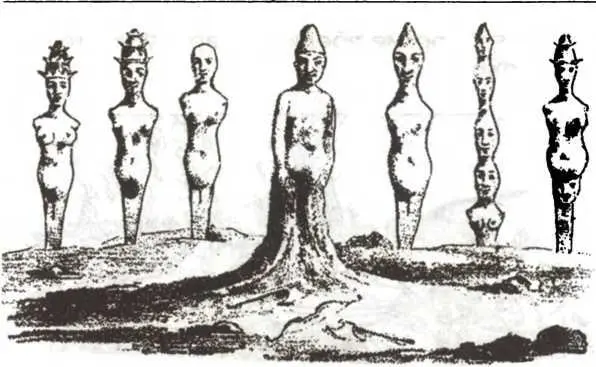 Святилище на острове Вайгач В 1827 году это святилище было сожжено - фото 22