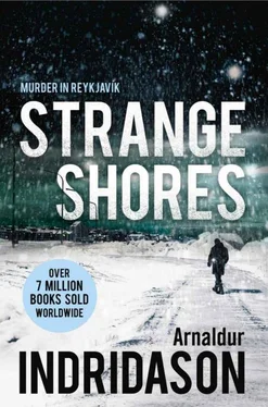 Arnaldur Indridason Strange Shores обложка книги