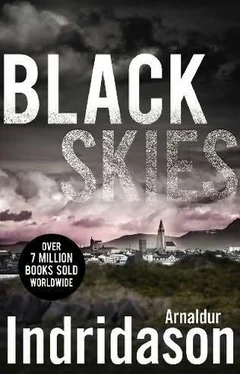 Arnaldur Indridason Black Skies обложка книги