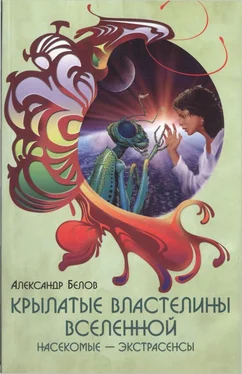 Александр Белов Крылатые властелины Вселенной. Насекомые - экстрасенсы обложка книги