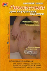 Анатолий Ситель - Гимнастика для внутренних органов