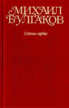 Михаил Булгаков Собачье сердце обложка книги