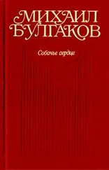 Михаил Булгаков - Собачье сердце