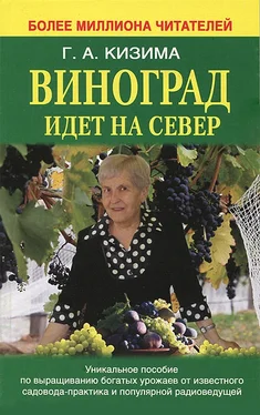 Галина Кизима Виноград идет на Север обложка книги