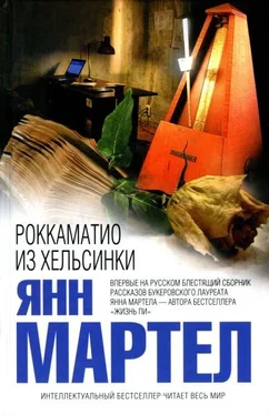 Янн Мартел Роккаматио из Хельсинки обложка книги