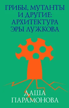 Даша Парамонова Грибы, мутанты и другие: архитектура эры Лужкова обложка книги