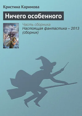 Кристина Каримова Ничего особенного обложка книги