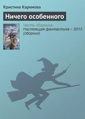 Кристина Каримова - Ничего особенного