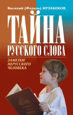 Василий Ирзабеков Тайна русского слова. Заметки нерусского человека обложка книги