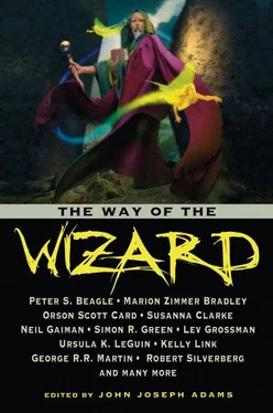 George Martin The Way of the Wizard обложка книги