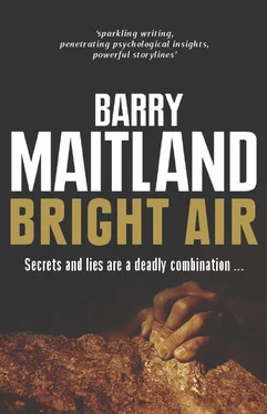 Barry Maitland Bright Air обложка книги