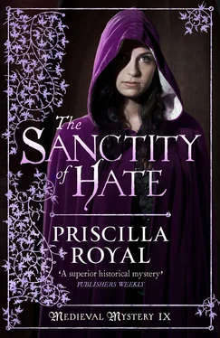 Priscilla Royal Sanctity of Hate обложка книги