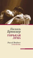 Паскаль Брюкнер - Горькая луна