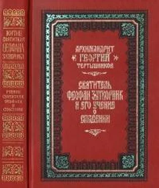 Георгий Тертышников Святитель Феофан Затворник и его учение о спасении обложка книги