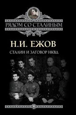 Николай Ежов Сталин и заговор в НКВД обложка книги