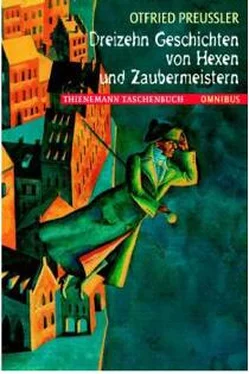 Otfried Preußler Dreizehn Geschichten von Hexen und Zaubermeistern обложка книги