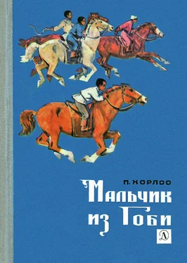 П. Хорлоо Мальчик из Гоби обложка книги