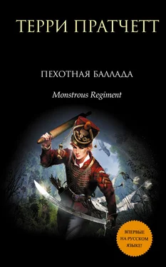 Терри Пратчетт Пехотная баллада обложка книги